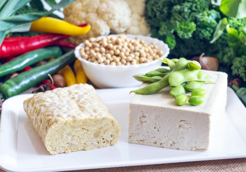 soy products tempeh tofu | what is a plant based diet