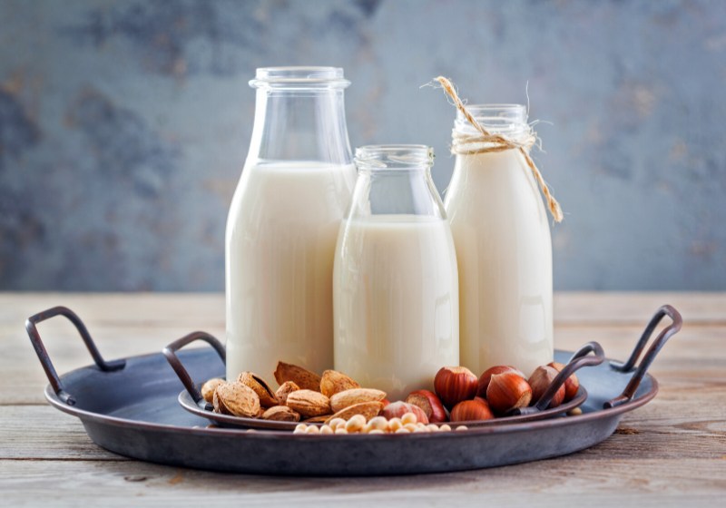 various vegan plant based milk ingredients | plant based diet benefits