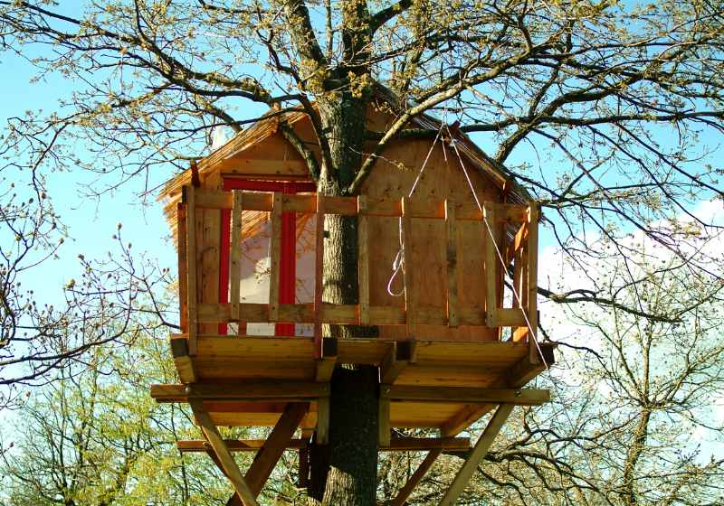 wooden house on tree | easy treehouse ideas