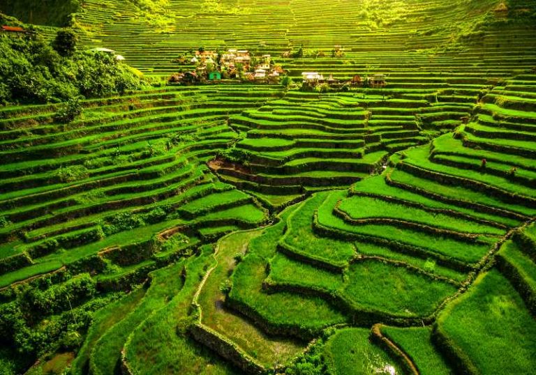 10 Terrace Farming Around The World | Types Of Farming