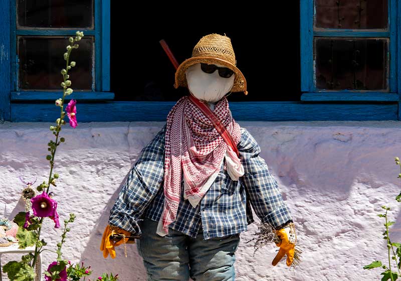 Scarecrow and beautiful purple flowers in front of the house | how to make a scarecrow