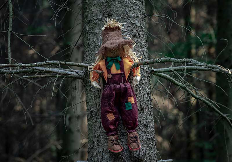 Shabby doll, stuffed with hay, a scarecrow, sitting between two branches of a tree without leaves | how to make a scarecrow