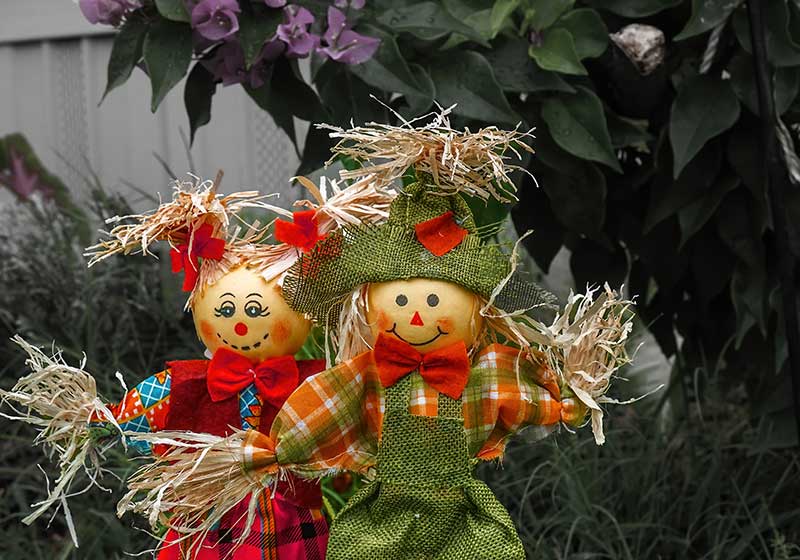 Two happy scarecrows guarding a flower bed in the country on an autumn evening | outdoor garden scarecrow