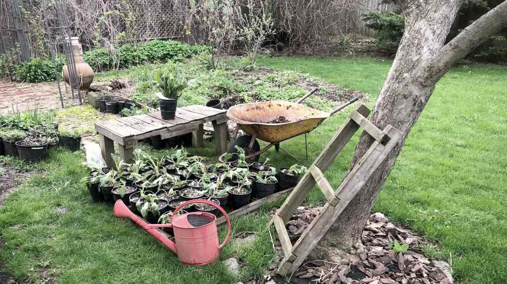 back yard garden potting station with red watering can and yellow wheelbarrow | Ways To Get The Homestead Ready For Spring | ready for spring | when to start gardening