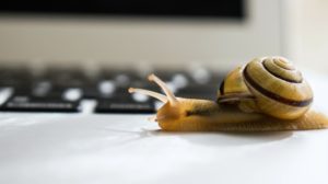 snail crawling across laptop computer | Why Is My Laptop Slow? (And How To Fix It On A Budget) | why is my laptop slow | Featured