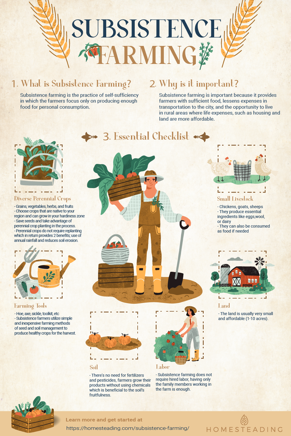 Infographic | Subsistence Farming | Why Homesteaders Should Practice Subsistence Farming Now