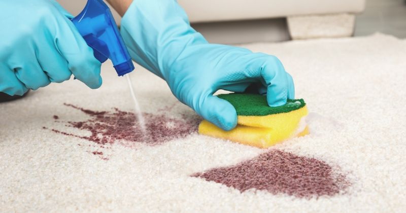 person cleaning stain on carpet spray bottle | Ways To Use A Vinegar Cleaning Solution To Disinfect Your Home