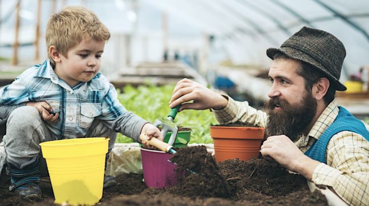 Agricultural activity of father and son in greenhouse | Homesteading Activities You Should Do This Spring While On Quarantine | Featured