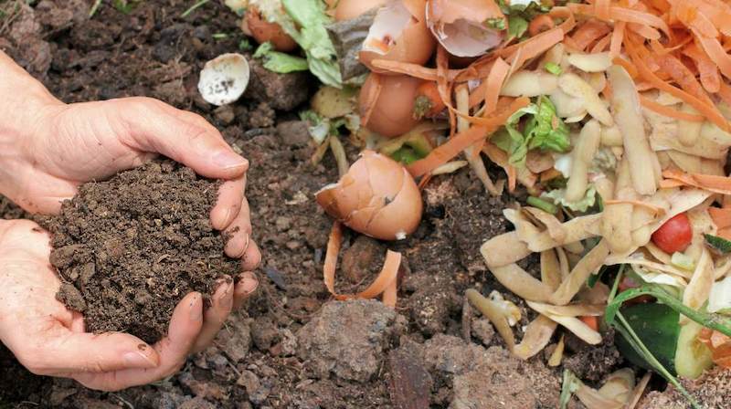 person holding compost fertilizer | Homesteading Activities You Should Do This Spring | spring activities | spring outdoor activities