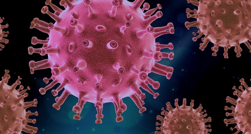 virus germs | Ultimate Pandemic Survival Tips For Homesteaders