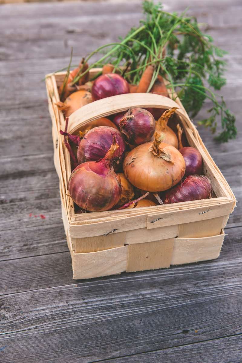 basket of onions | Fastest Growing Vegetables That You Should Plant In Your Garden | quick crops