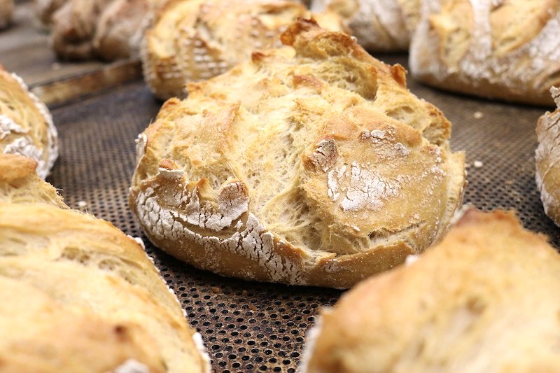 sourdough bread baked | Sourdough Recipe | How To Feed Sourdough Starter | how to feed sourdough starter