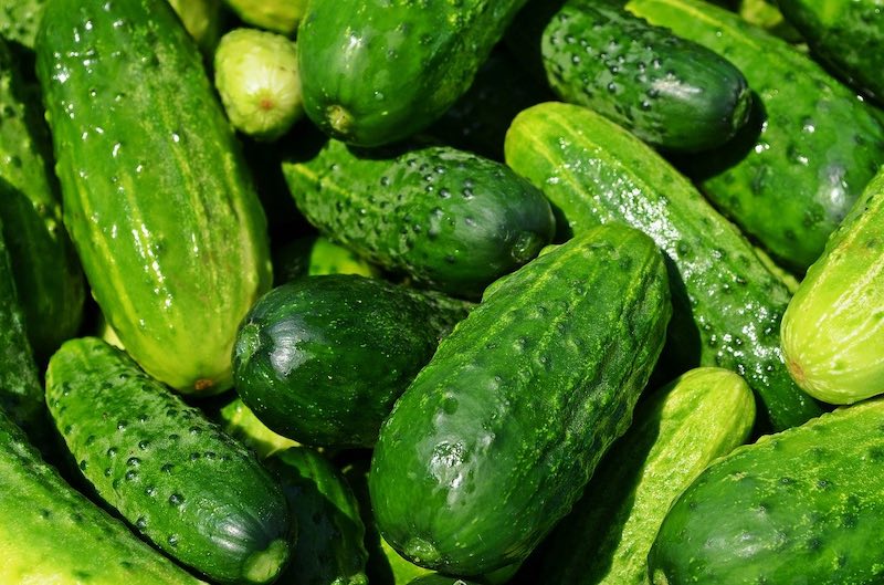 cucumbers | Best Vegetables For Canning | canning vegetables