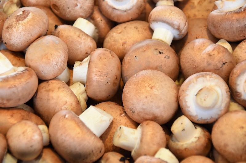 mushrooms | Best Vegetables For Canning | canning vegetables