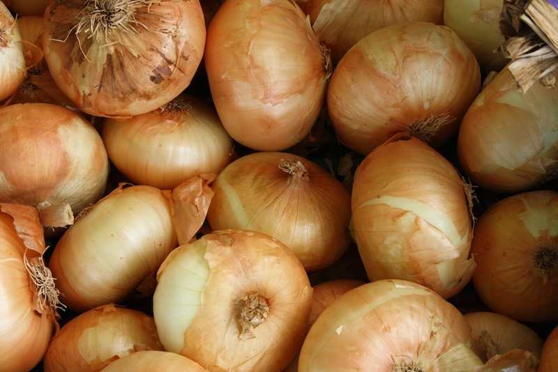 onion bulbs | Best Vegetables For Canning | canning vegetables