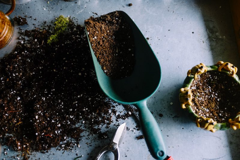 green metal garden shovel filled with brown soil | worm bin