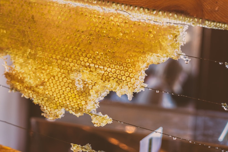 HC9opzxKUgg-honeycomb-dew-us | honeymaking