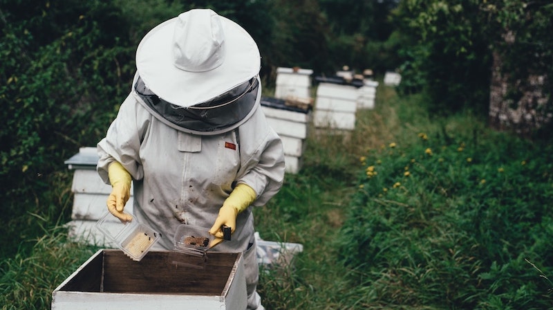 beekeeper wearing suit | Beekeeping Starter Kit: Essential Supplies You Need To Get Started 
