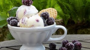 berry parfait | Homemade Goat Milk Ice Cream Recipe Perfect For The Hot Weather | featured