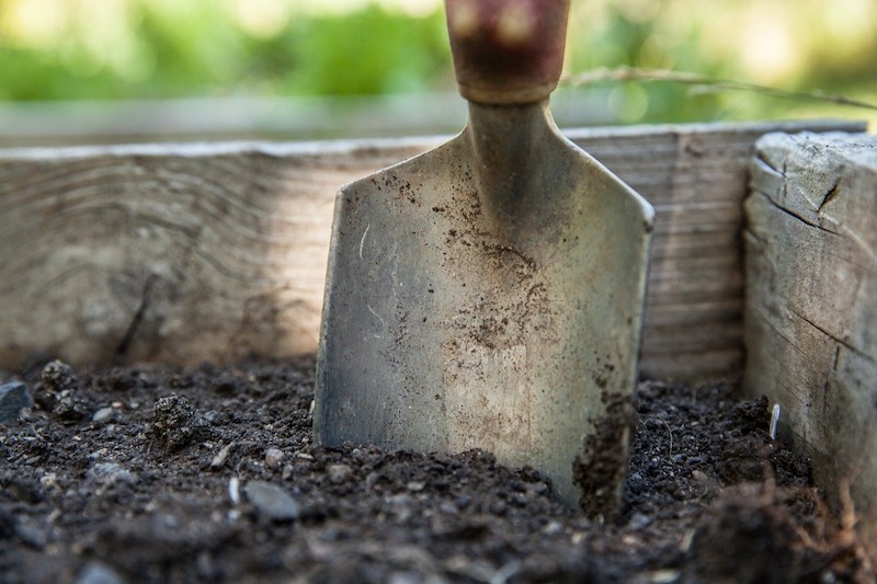 garden soil | How To Mulch A Tree: Tips From The Pros | how to mulch a tree