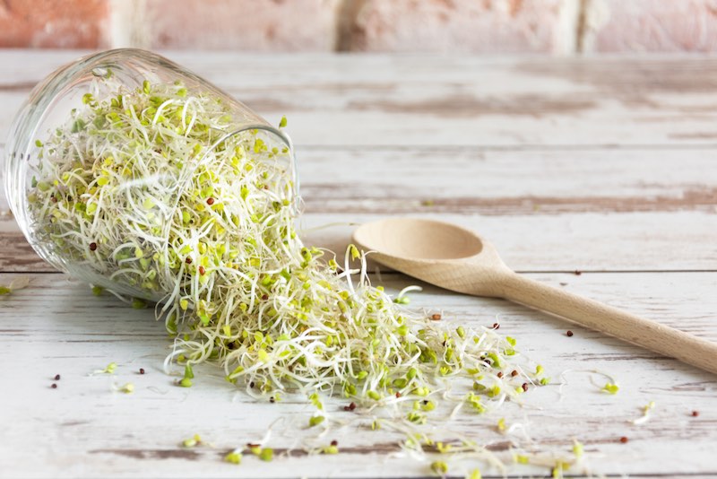 mix-various-sprouts-on-wooden-background | growing sprouts