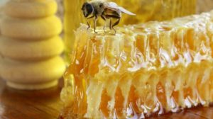 natural-organic-honey-in-the-comb | Can You Eat Honeycomb? Benefits and Food Uses of Honeycomb |featured