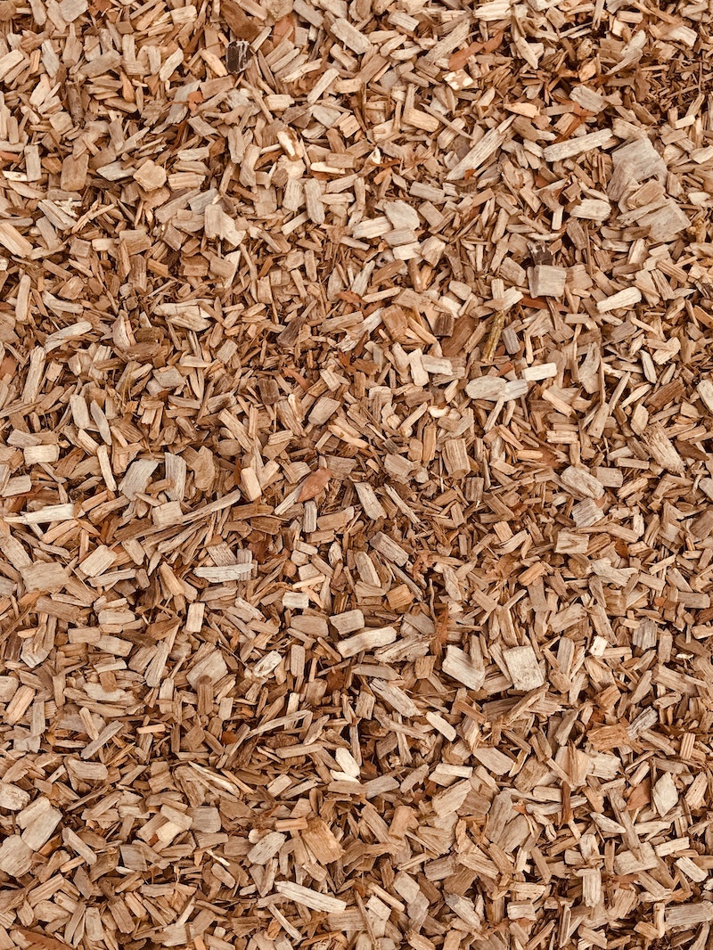 wood chips | How To Mulch A Tree: Tips From The Pros | how to mulch a tree