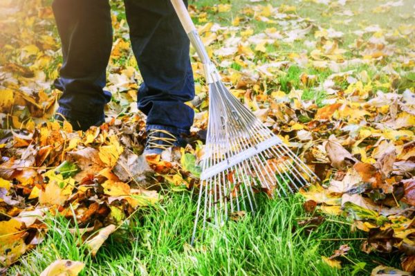 Fall Prevention Checklist: Preparing Your Home For Fall