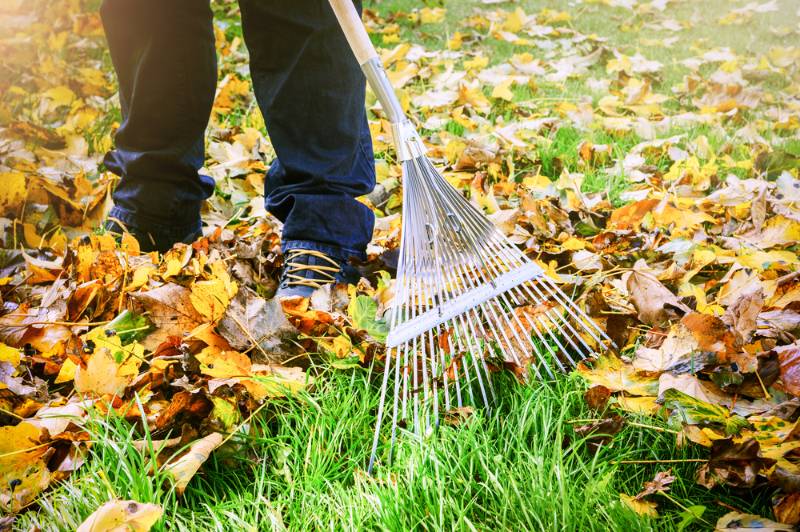 gardener-raking-fall | Fall Home Maintenance Checklist: How To Prepare Your Home For Fall