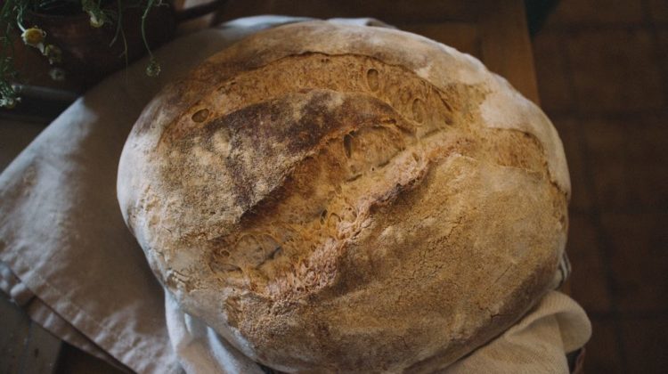brown-bread | Gluten Free Sourdough Bread Recipes | Featured