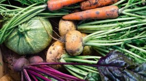 closeup-freshly-harvested-vegetables-turnips-beetroots | Fall Vegetables You Should Start Planting Now | Featured