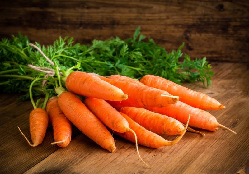 fresh-carrots-bunch-on-rustic-wooden | Homemade Shampoos For Hair Growth and Hair Loss