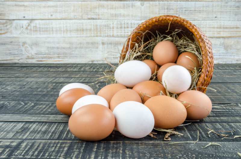 fresh egg duck eggs | baking with duck eggs vs chicken eggs