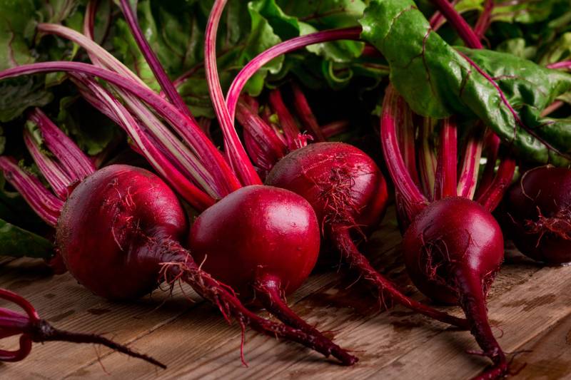 organic beetroot dark red | Fall Vegetables You Should Start Planting Now | fall fruits and vegetables