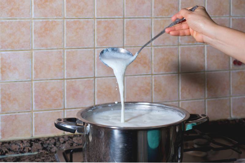 pot boiling fresh milk consumption | How To Make Cream Cheese At Home