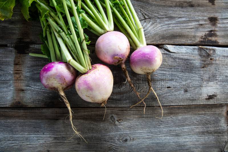 rustic organic turnips fresh green | Fall Vegetables You Should Start Planting Now | fall weather