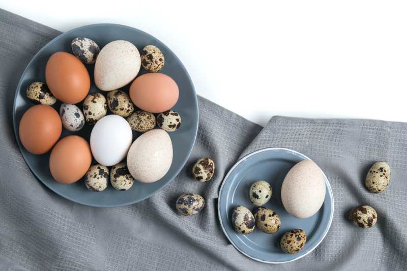 styled flatlay different kinds eggs on | Duck Eggs VS Chicken Eggs: Which Eggs Are Better?