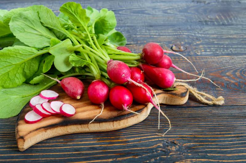 summer harvested red radish growing organic | Fall Vegetables You Should Start Planting Now | fall season