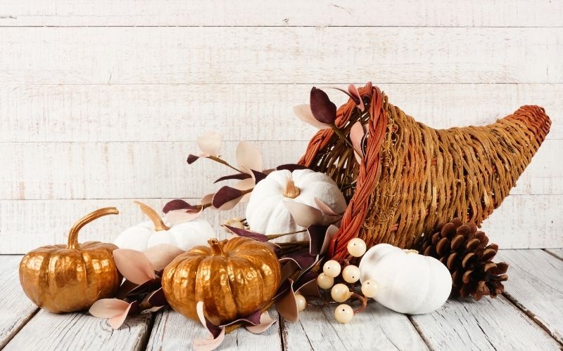 thanksgiving cornucopia with white and gold pumpkins against white wood | home decoration