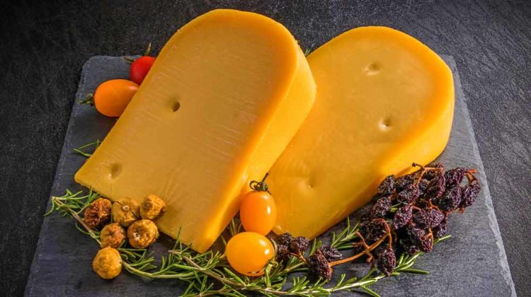 Delicious Gouda cheese | How To Make Gouda Cheese At Home | Featured