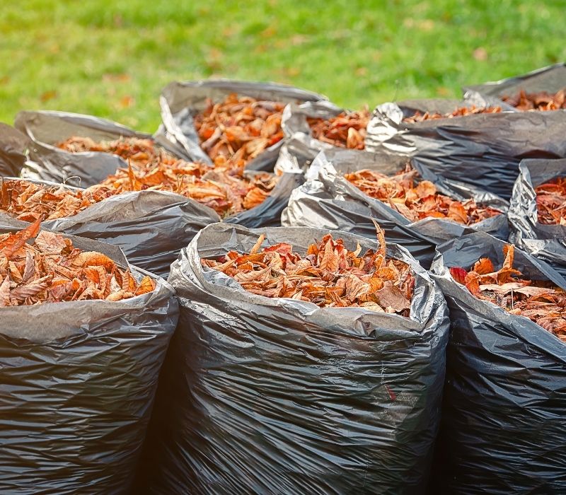 Large black plastic trash bags with fallen dried leaves | What To Do With Fall Leaves | Smart Ways
