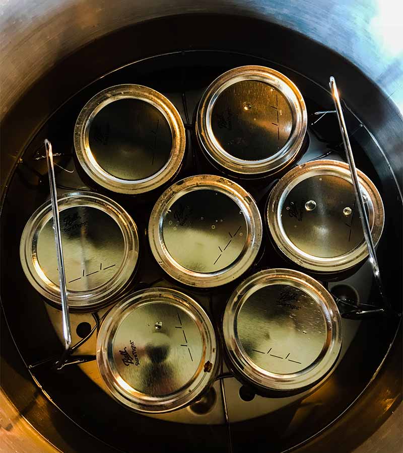 canning jars in pressure cooker water bath 
