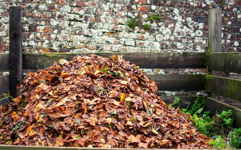 dried leaves for compost | dried leaves