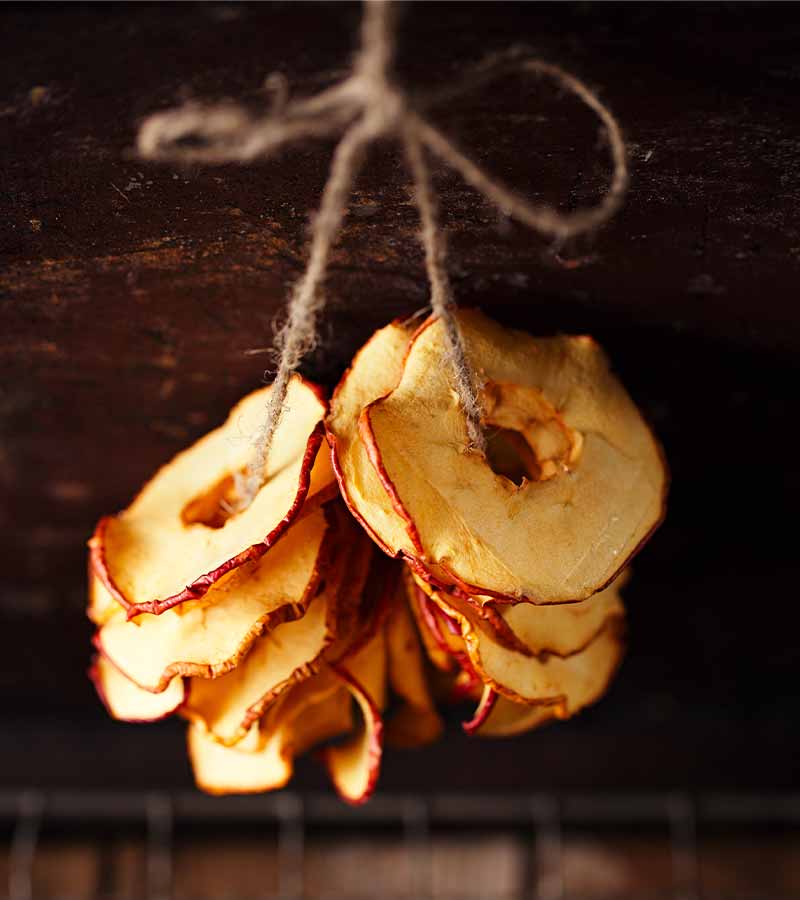 Dried apple slices hanging on string with dark metal backdrop and copy space | storing fruit