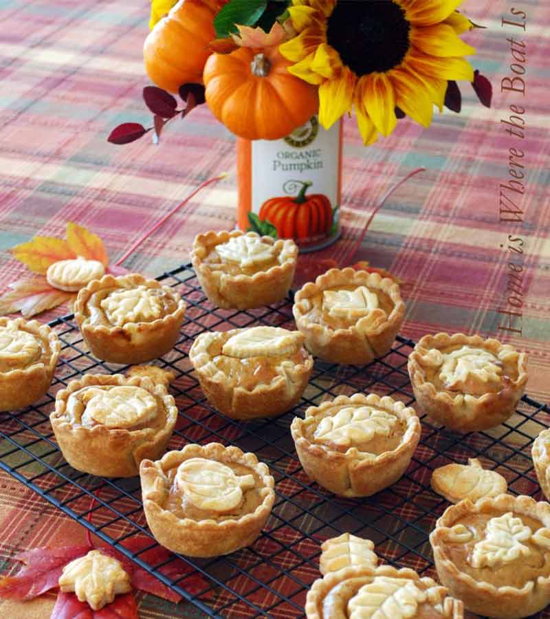 Mini Pumpkin Pies and a Blooming Can | thanksgiving dessert