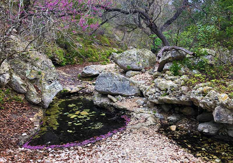 Spring fed pools in Lost Maples State Natural Area, TX | place to visit in november