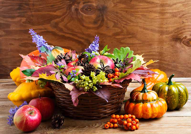 Thanksgiving wicker basket table centerpiece with squash and blue flowers | thanksgiving centerpieces diy