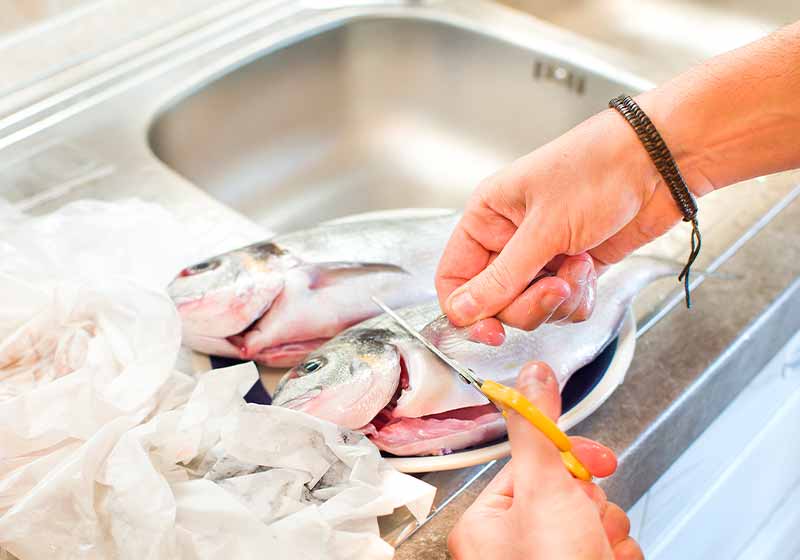 cleaning fish removing fins | how to fillet fish the easy way