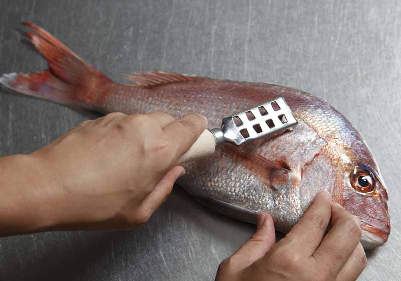 fish scale remover | how to fillet a fish step by step