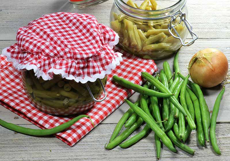 home canned green beans | picnic food suggestions